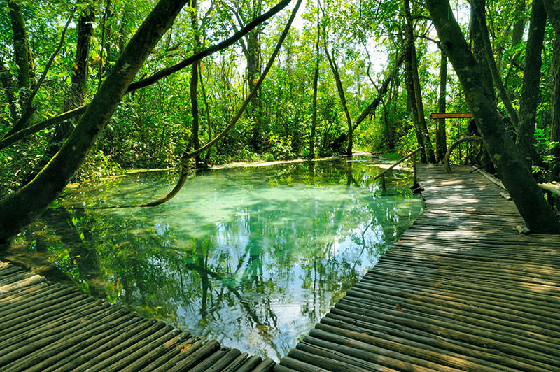 nascente da areia, criando uma espécie de areia movediça. - Picture of Areia  que Canta, Brotas - Tripadvisor