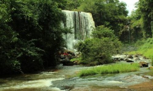 Eco Parque Jacaré Território Selvagem Canoar